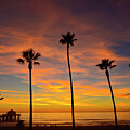 Pacific Sunset